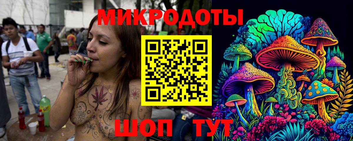 Псилоцибиновые грибы Psilocybe Михайловск
